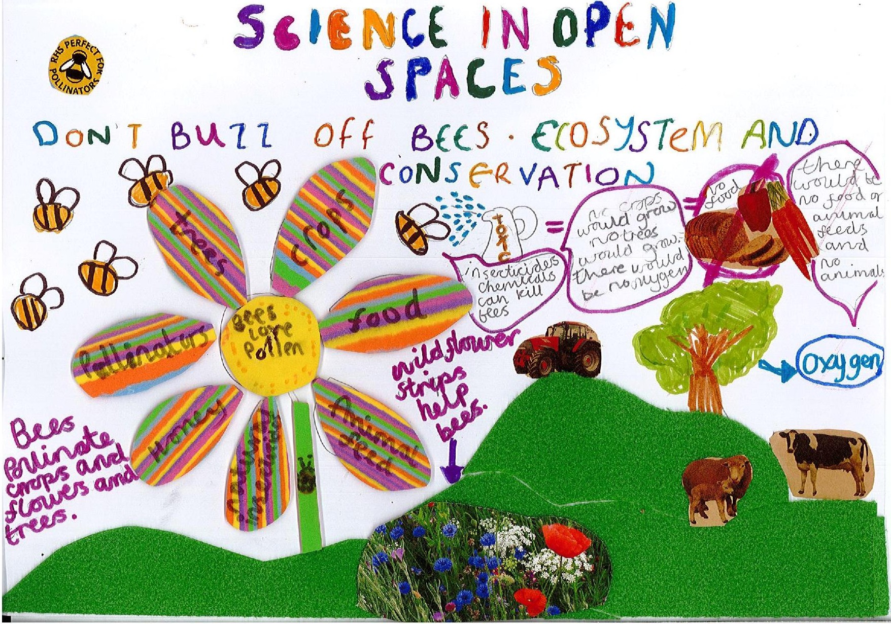 Science Poster Ideas - vipdownloadimage