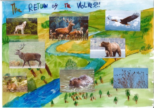 Oscar Lumb,, age 8, Kidgate school. Illustrates a deep understanding of an ecosystem.