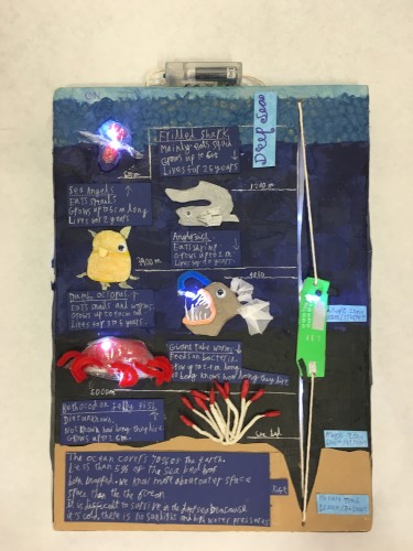 Ava Stafford, age 9, Sompting abbotts school. The judges could not but admire the ambition - electrical posters!