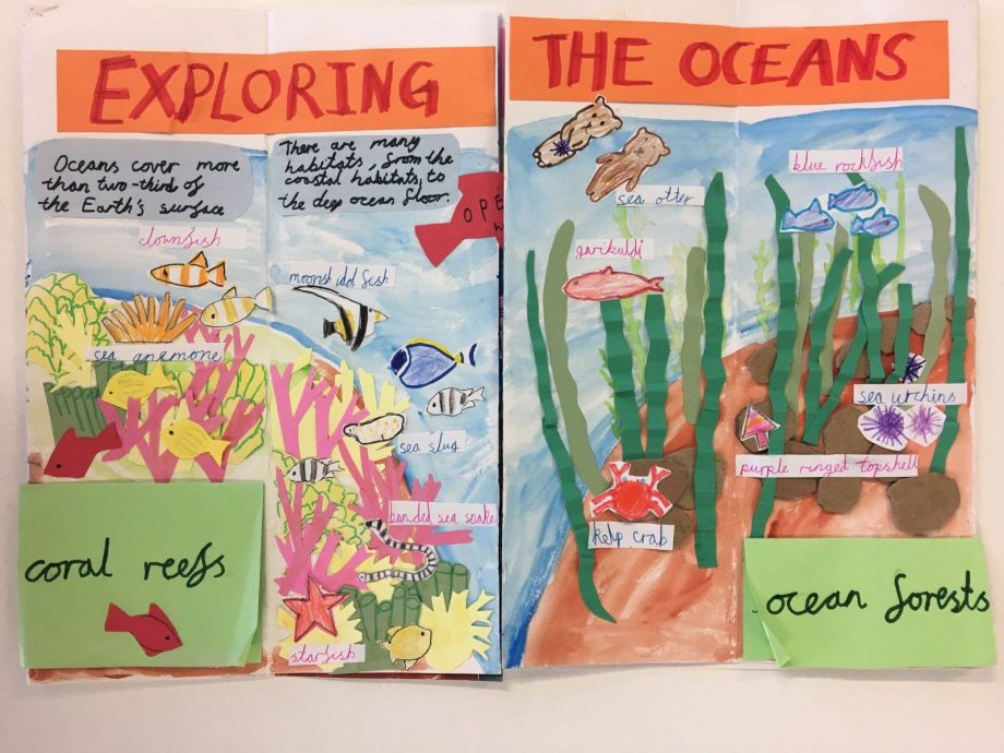 A poster 'entitled Exploring the oceans' with information and illustrations of coral reefs and ocean floors