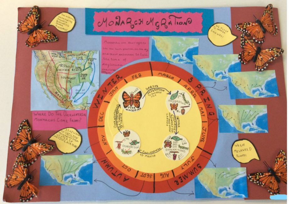 A poster on the annual migration of the monarch butterfly.