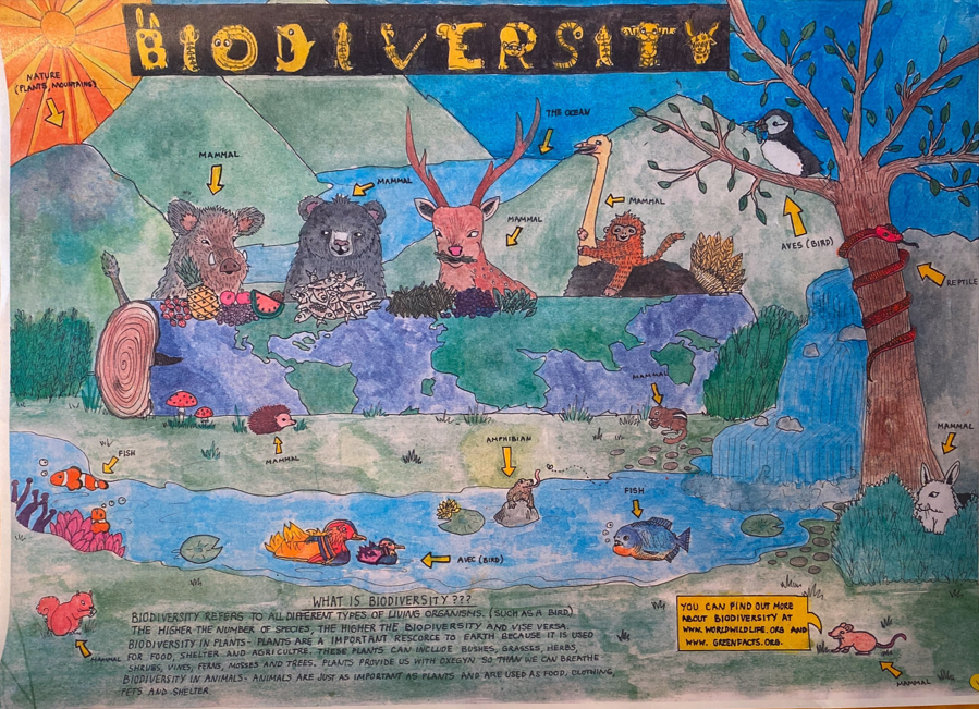 A poster titled Biodiversity. It is a mountainous landscape populated by a variety of animals.