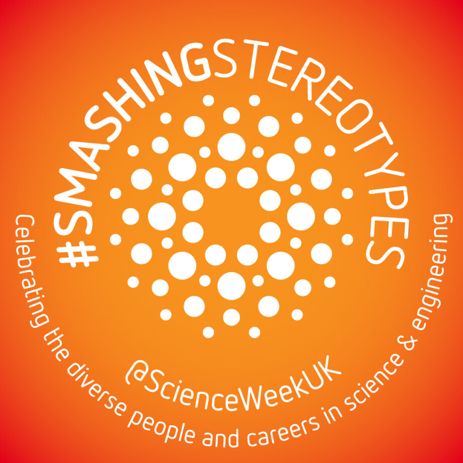 Smashing Stereotypes logo
