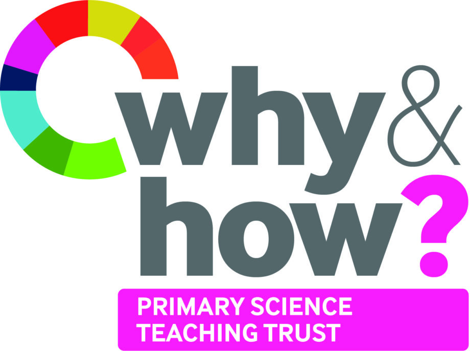 Why & How? logo