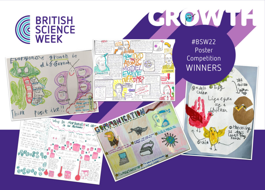 BSW22 Poster Competition winners