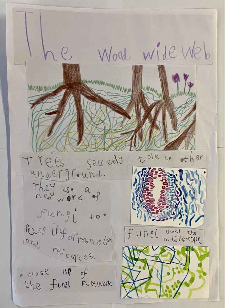 British Science Week 2023 poster competition winners announced!