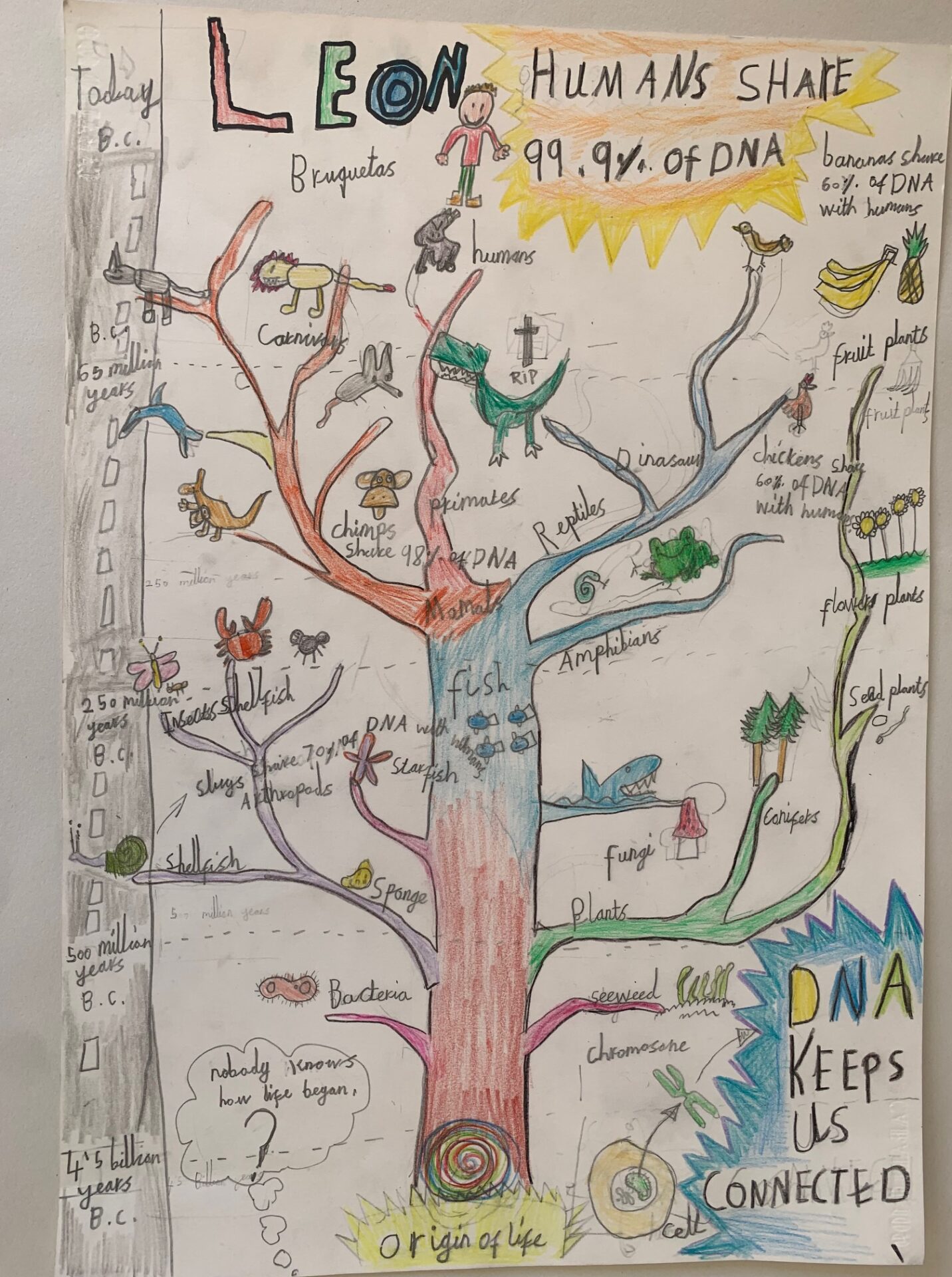 British science week 2023 poster competition winners announced 