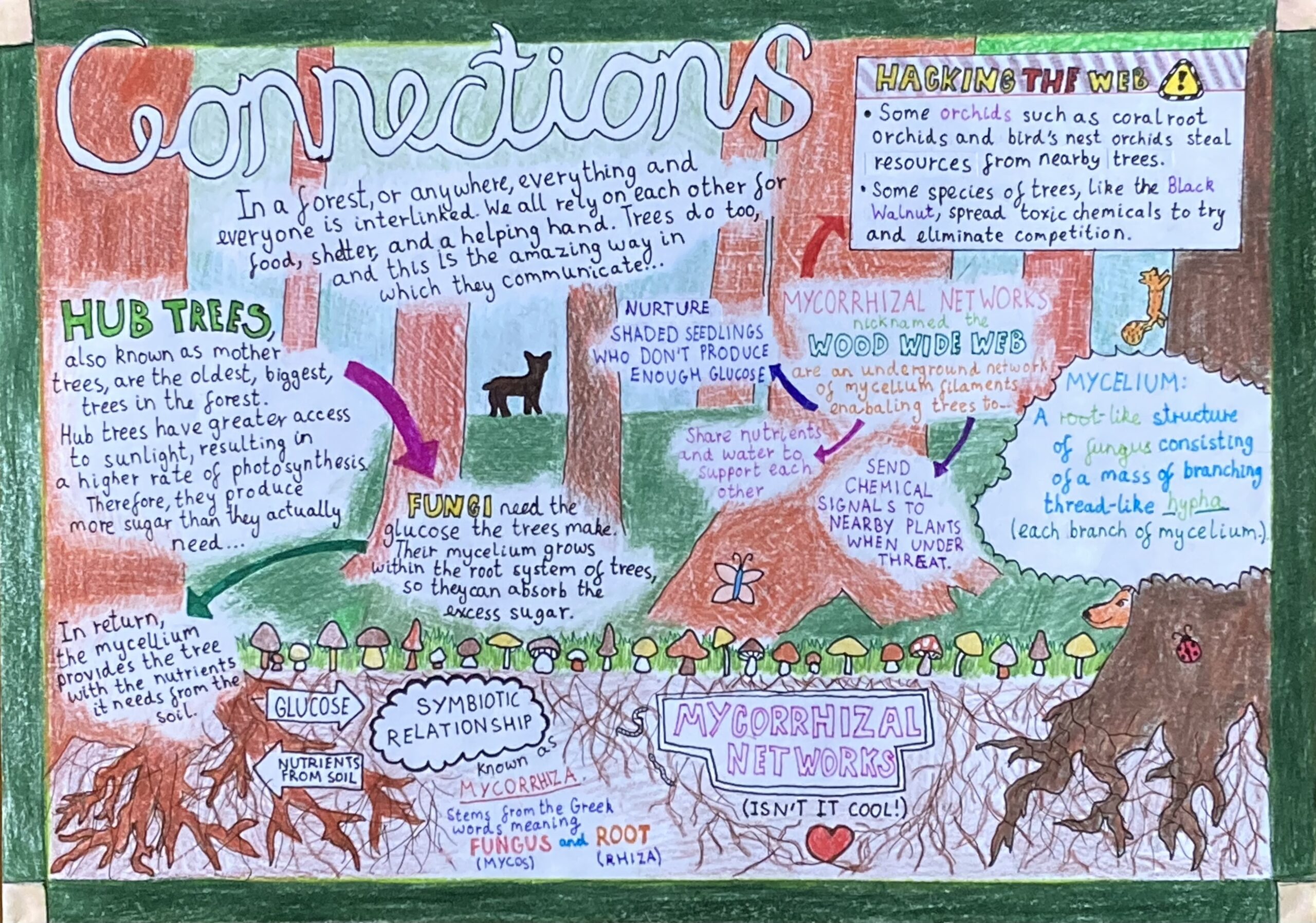 Poster Making Contest Winners On Science And Technology